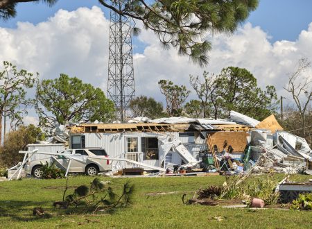 Adjuster Texas