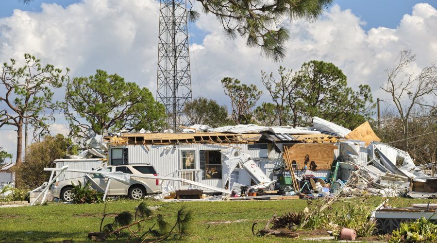Adjuster Texas